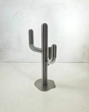 Cactus soprammobile