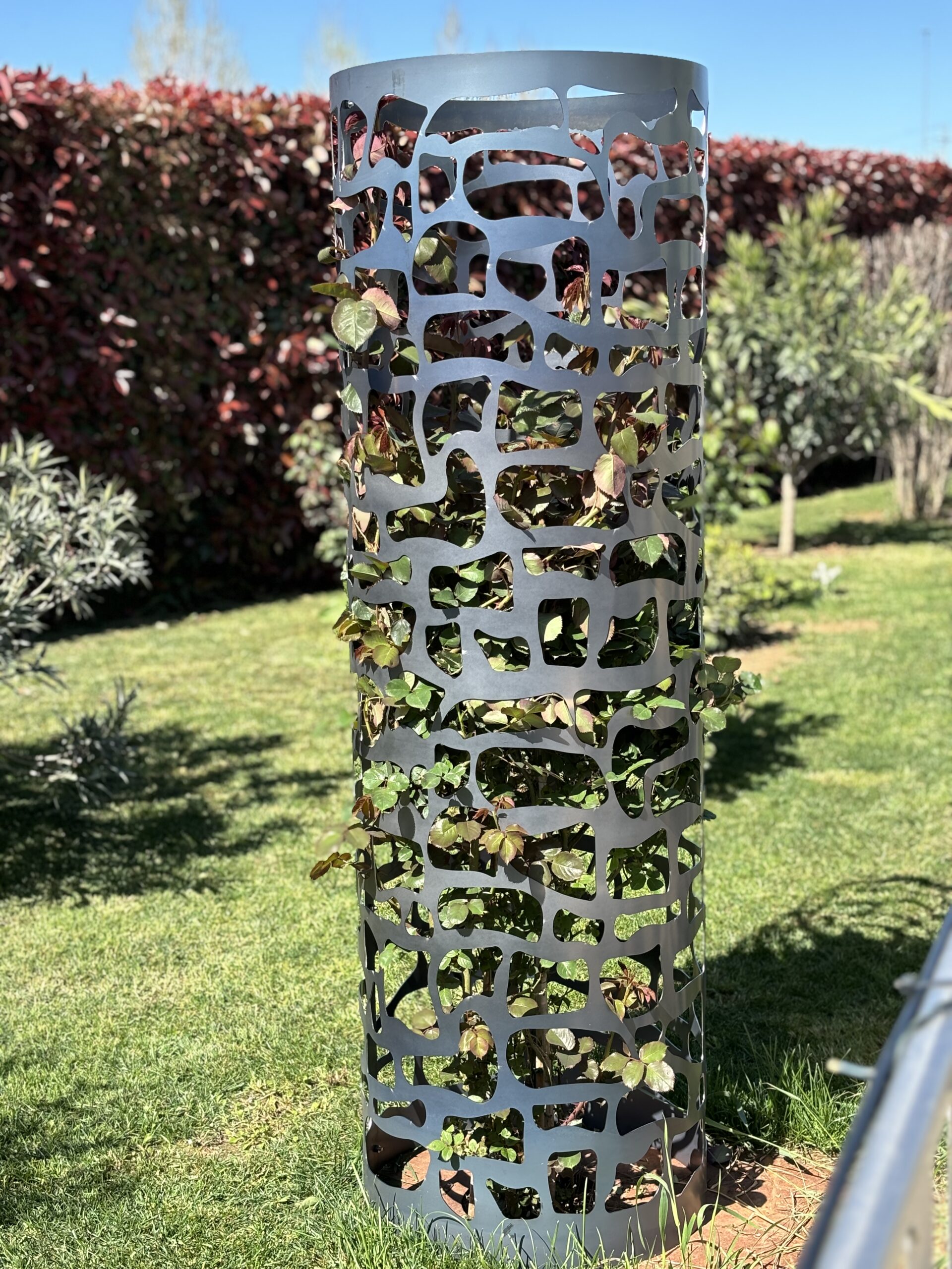 Gabbia contenitore Rose di design