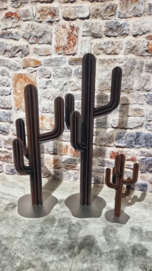 Cactus di design